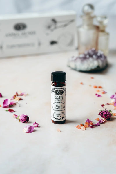 Buy Anima Mundi Pure Essential Oil 15ml - Blue Chamomile at One Fine Secret. Official Australian Stockist. Natural & Organic Clean Beauty Store in Melbourne.