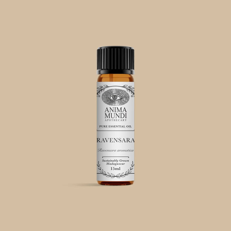 Buy Anima Mundi Pure Essential Oil 15ml - Ravensara at One Fine Secret. Official Australian Stockist in Melbourne.