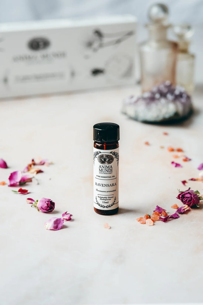 Buy Anima Mundi Pure Essential Oil 15ml - Ravensara at One Fine Secret. Official Australian Stockist in Melbourne.