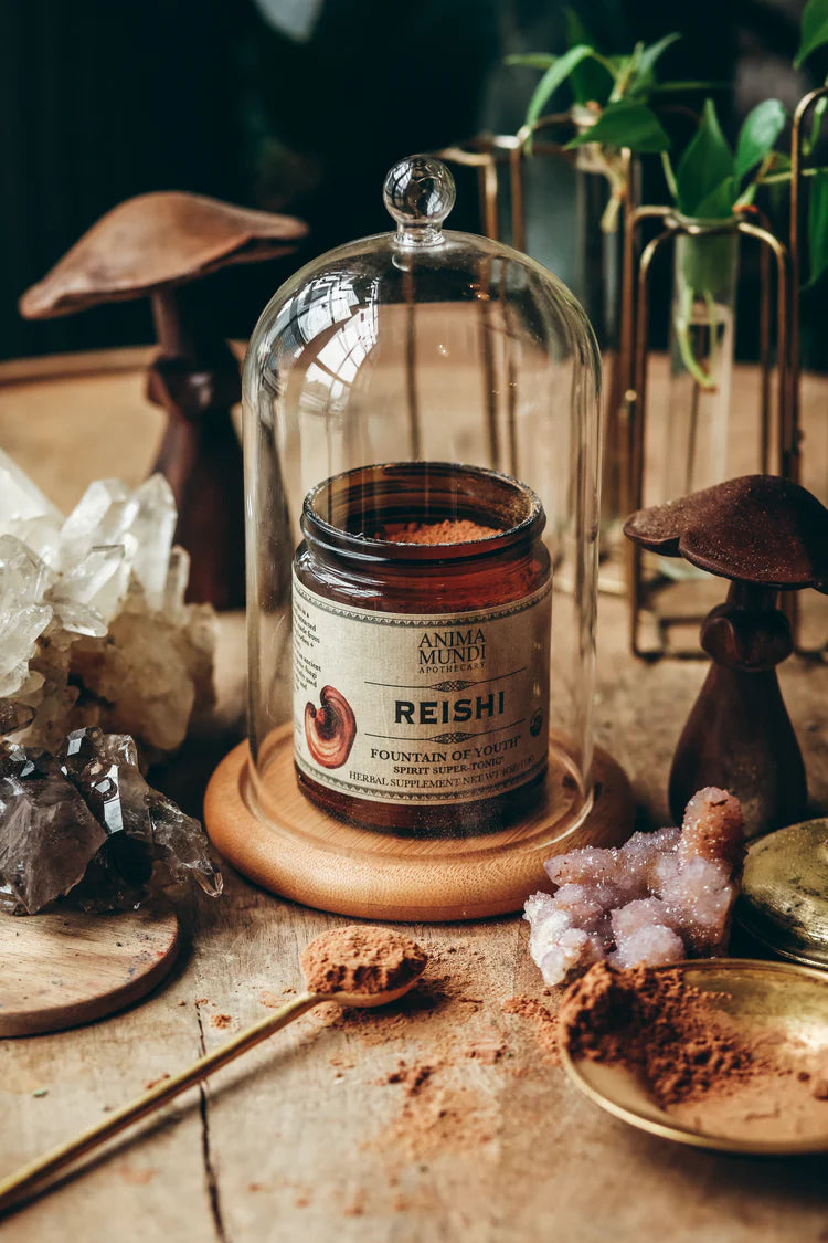 Anima Mundi Herbal Supplement. Buy Anima Mundi Reishi Fountain Of Youth Powder at One Fine Secret. Official Australian Stockist. Clean Beauty Melbourne.