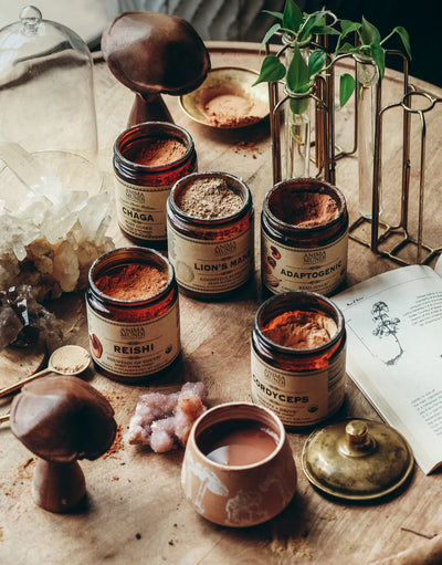 Buy Anima Mundi	Adaptogenic Resilience 7 Medicinal Mushrooms + Cacao Powder 113g at One Fine Secret. Official Australian Stockist. Melbourne's Most Loved Clean Beauty Store.